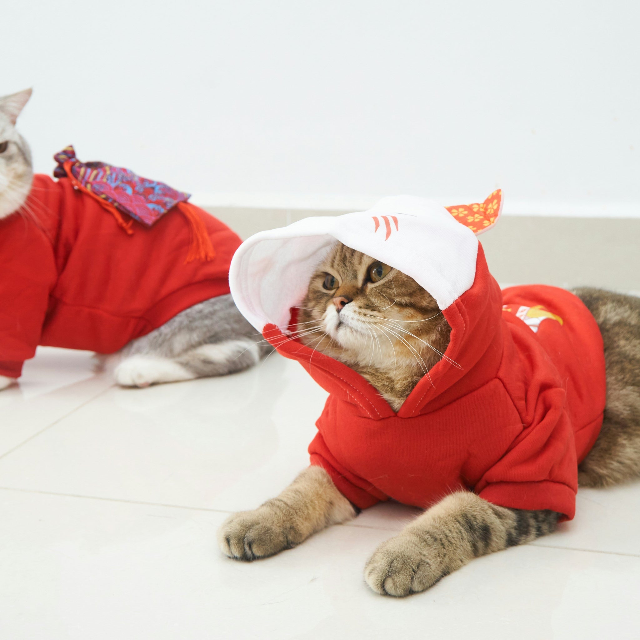 How to Keep Your Pet Cozy and Stylish with Quality Apparel