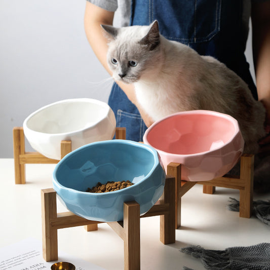 Oblique Pet Bowl