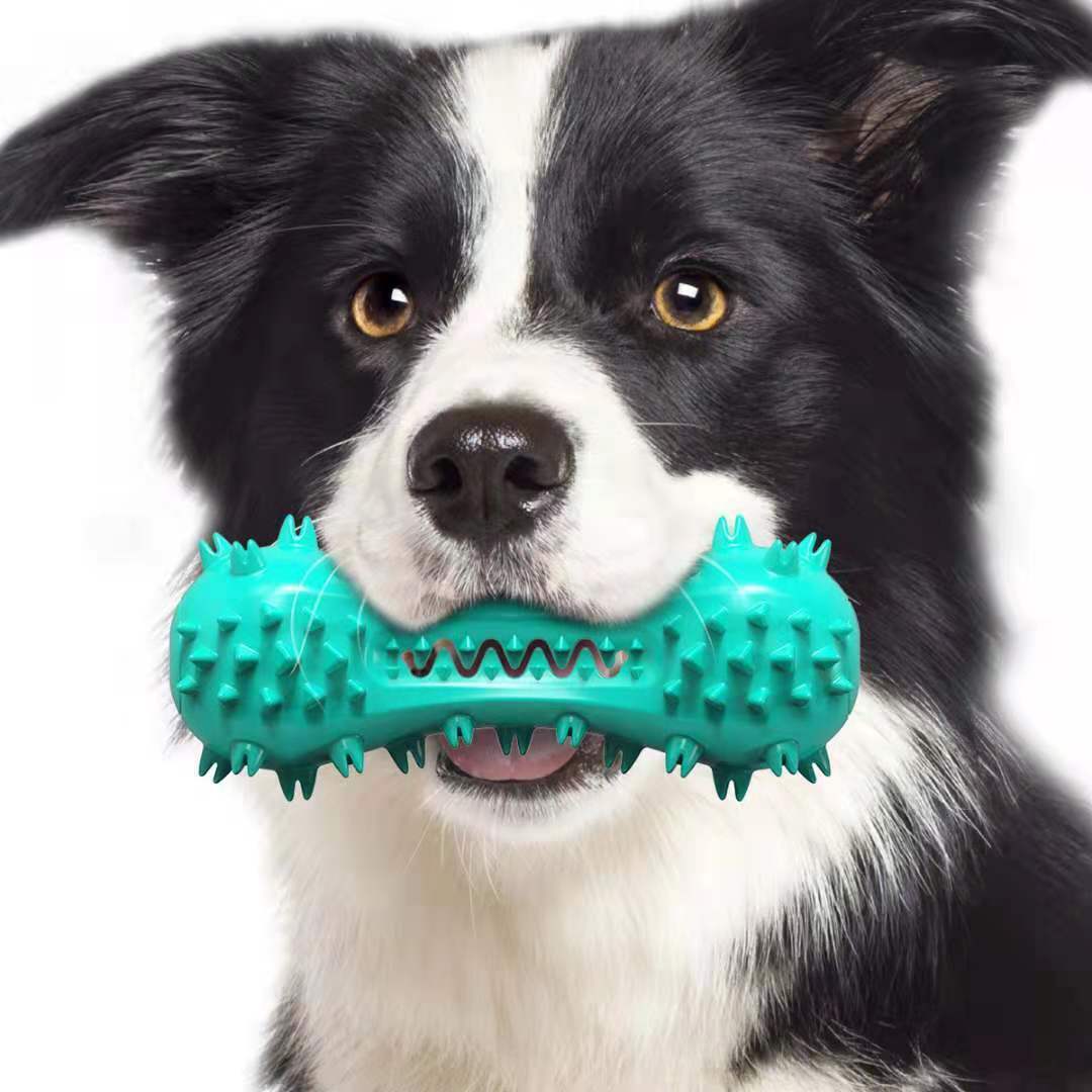 Dog Chew Tooth Toy