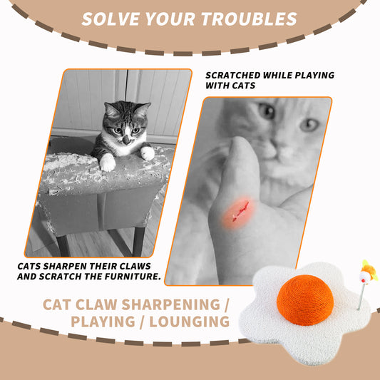 3-in-1 Cat Scratcher