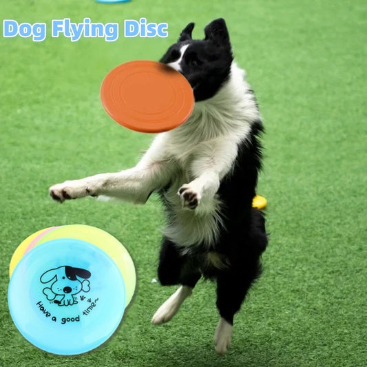 Silicone Flying Disc