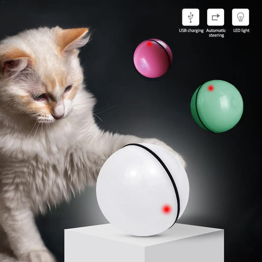 LED Laser Cat Toy